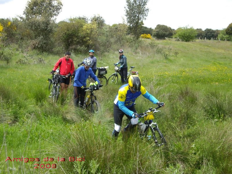 Click para ver la siguiente