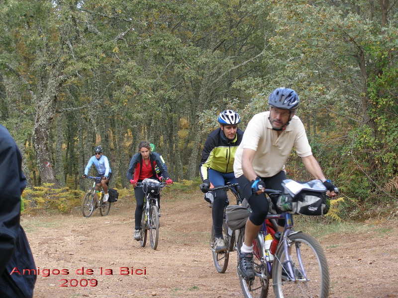 Click para ver la siguiente