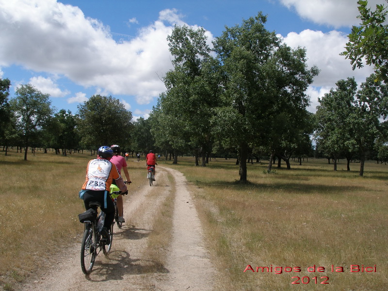 Click para ver la siguiente
