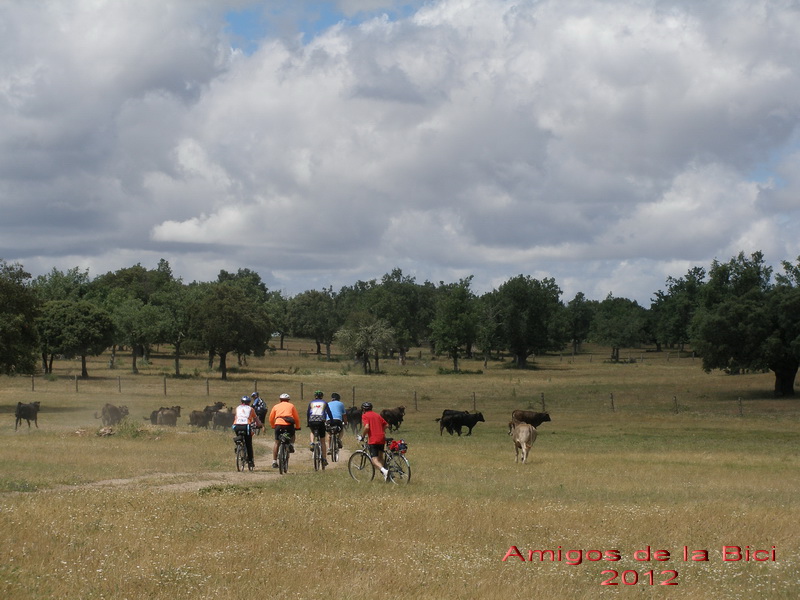 Click para ver la siguiente