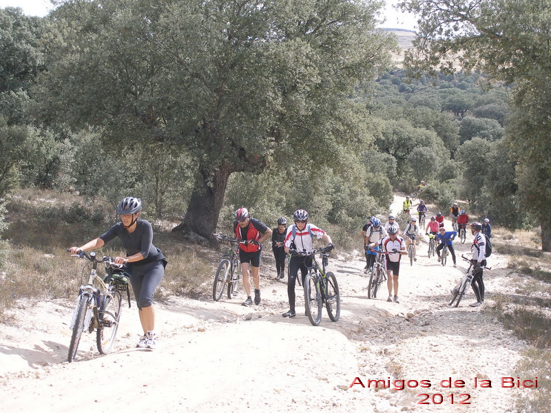 Click para ver la siguiente