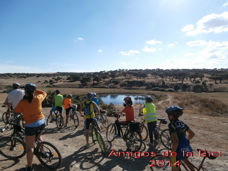 Click para ver la siguiente