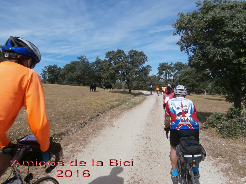 Click para ver la siguiente