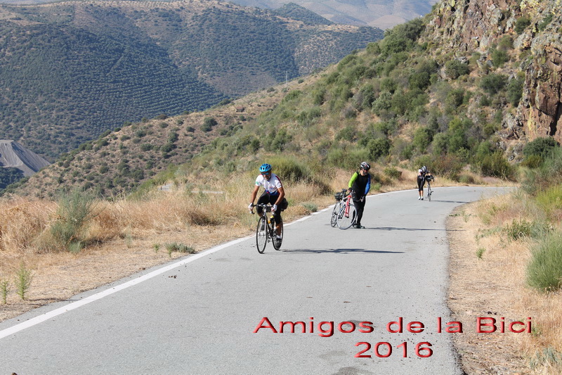 Click para ver la siguiente